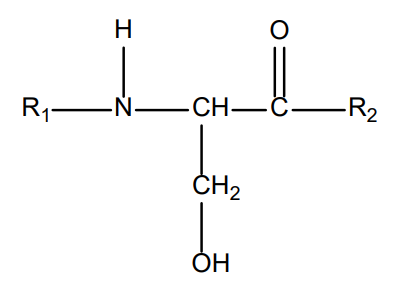 Schematische Darstellung einer Serin-Aminosäure in einer Peptidbindung mit R1 und R2 und einer Hydroxymethyl-Seitenkette